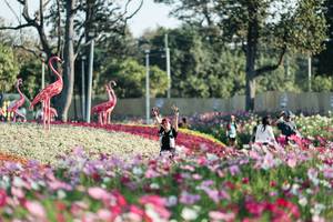 BIB: 
                            <button type="button" onclick="openModal(27344245)" class="btn btn-primary btn-sm float-right btn-popup" data-toggle="modal" data-target=".modal-high-quality">
                        <i class="fas fa-shopping-cart"></i> Add to Cart
                    </button>
                                            <button type="button" onclick="isThisMe(27344245, true)" class="btn btn-success btn-sm float-right btn-popup btn-isme hidden" data-toggle="tooltip" data-placement="bottom" title="นี่คือรูปของคุณใช่ไหม คลิกที่นี่เพื่อเอาเข้าอัลบั้ม">
                        <i class="fas fa-plus"></i> Add to album
                    </button>
                    <button type="button" onclick="isThisMe(27344245, false)" class="btn btn-warning btn-sm float-right btn-popup btn-isnotme hidden">
                        <i class="fas fa-ban"></i> Remove from album
                    </button>